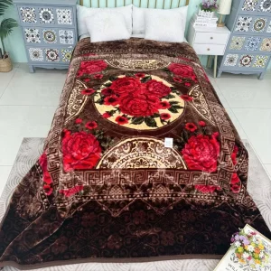 Double Bed Newly Designed Soft Comfortable Four Season Printed Patterns 4kg 2PLY Raschel Blanket