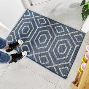 Durable Easy Clean Absorbent Tufted Polypropylene Entrance Floor Mats Washable Stain Resistant Pet Friendly Non Slip Modern