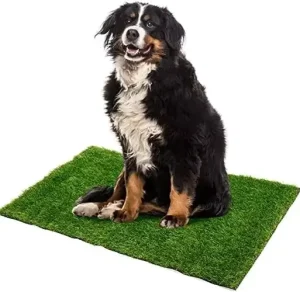 Durable and Easy to Clean 30mm Indoor Outdoor Pet Carpet Artificial Grass Dog Mat