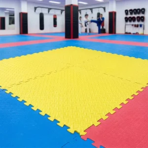 EVA Taekwondo Mat, Children’s Crawling Mat, Dance and Gymnastics Training Mat, Foam Floor Mat 100 cm Direct Factory Supply