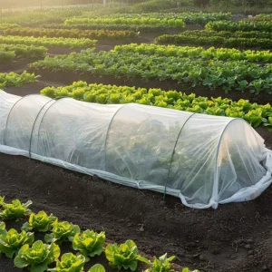 Eco Friendly 100% Polypropylene Non Woven Fabric 110 GSM Weed Control for Agriculture
