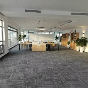 Eco Friendly Carpet Tiles Luxury Soft for Villa Living Room Dining Room Soundproof Stain Resistant