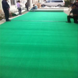 Eco Friendly Loop Pile Carpet Factory OEM Floor Wall to Wall Carpet