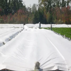 Eco-Friendly Waterproof Tear-resistant Non Woven Reusable Agriculture PP Fabric for Agricultural Landscaping