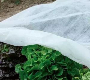 Eco-Friendly Waterproof Tear-resistant Non Woven Reusable Agriculture pp Fabric for Agricultural Landscaping