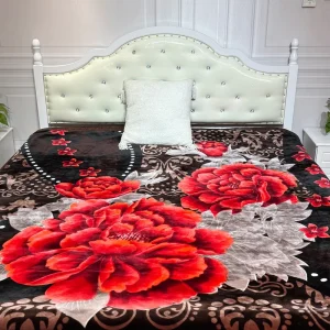 European and American Style Jacquard Printed Super Soft Raschel Blanket 2-8KG Embossed Winter for Bed