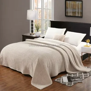 FY FY Soft Skin Friendly Luxury Beige Lion Velvet Custom Logo Flannel Fleece Polyester Raschel Blanket