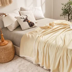 Factory Coral Flannel Throw Blanket 100% Polyester Thick Cotton Adults Plain Color Home Hotel Winter Sofa