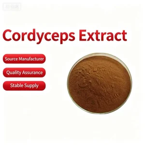 Factory Cordyceps Sinensis Extract Powder Raw Materials Cordyceps for Sale with