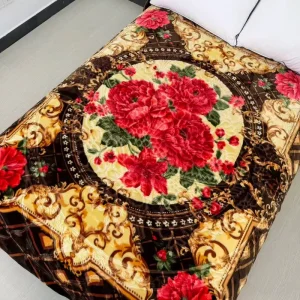 Factory Customize Korean Modern Double Layers Two Sides Patterns Embossed Polyester Raschel Super Soft Cloudy Blankets