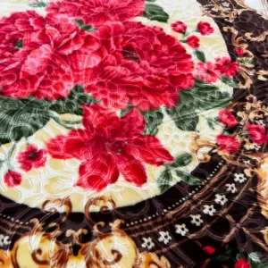 Factory Customize Korean Modern Double Layers Two-side Patterns Embossed Polyester Raschel Super Soft Cloudy Blankets