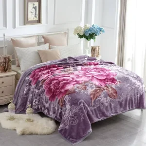 Factory Direct Heavy Plush Mink Korean Style Soft Warm Fleece Blanket 2 Ply Printed Raschel Bed Blanket for Winter