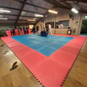Factory Direct Sale 1x1m Martial Arts Training Exercise Mat Anti slip Thickened Two color Eva Foam Tatami Mats