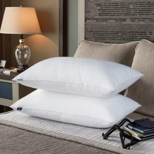 Factory Direct Sales Customization Modern Quilted Embroidery Feather Silk Filling Air permeable Neck Solid Bed Pillows Queen