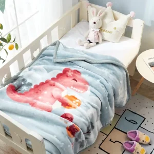 Factory Directly Supply Winter Double Thick Raschel Blanket Children Coral Velvet Blanket for Kindergarten Cover Blanket