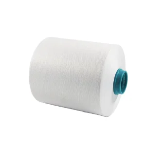 Factory Dty Yarn Manufacturer of Plastic Dyeing Tube Dty Yarn 75d 36f Dty Polyester Yarn