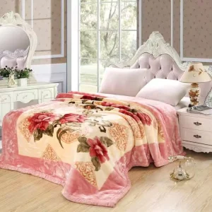 Factory Price Heavy Korean Plush Mink Blanket 2 Ply Thick Printed Luxury Thermal Warm Raschel Blanket for Winter