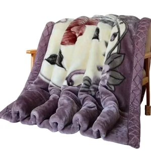 Factory Raschel Blanket 2 Ply Double Thick Coral Single Bed Blanket Custom Printed Blankets for Winter