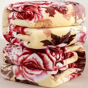 Factory Stock Whole Sell Korean Mixed Thick Printed Embossed Cloudy Raschel Blanket