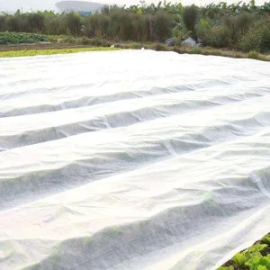Factory Supply PP Spunbond Nonwoven Fabric 60gsm for Crop Cover and Weed Control