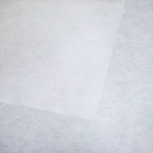Factory Supply Thermal Bond Interlining Microdot Nonwoven Fusible Interlining Fabric for Cloth