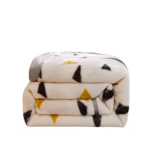 Factory Thickened Raschel Winter Warm Flannel Sheets Double layer Resistance Electrostatic Cloud Blanket