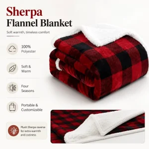 Factory Winter Double Layer Flannel Fleece Sherpa Custom Cartoon Pattern Raschel Blanket Throw Cozy Soft Warm Sofa Bed All