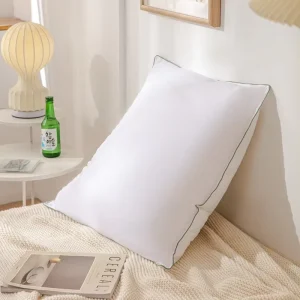 Fast Shipping Soft Fill Down 5 Star Hotel Quality Pillow 1000g with Bag Bed Neck Pillow for Hotel Home