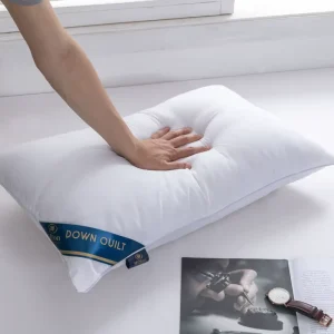 Fast Shipping Soft Fill Down Pillow 1000g with Bag Bed Neck Pillow for Hotel Home