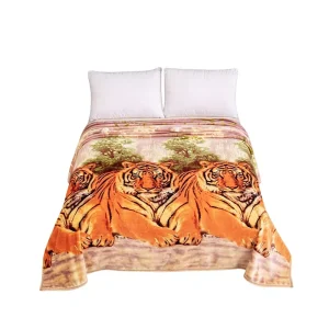 Flannel Fleece Throw Blanket 100% Polyester Super Soft Warm Winter Bed Sofa Blanket for Home Hotel Gift