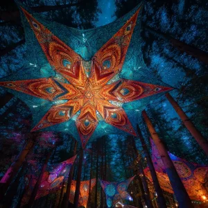 Fluorescent Canopy Psytrance Party Outdoor Garden Shading Triangle Shade Polyester UV Tapestry Psychedelic Backdrops Festival