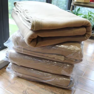 Foreign Trade Surplus Double sided Fleece Plain Star Hotel Blanket Thickened Bed Cover