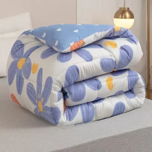 GG Guangdong Quilt Core Autumn Winter Space Machine Washable Dormitory Student Double Single Bedding Universal Warmth All
