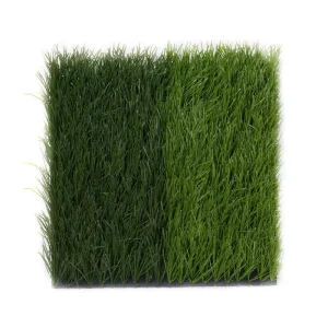 Garden Landscape Decoration Artificial Color Synthetic Turf Plastic Green Red Yellow Blue Purple Gray for Soccer PP Material