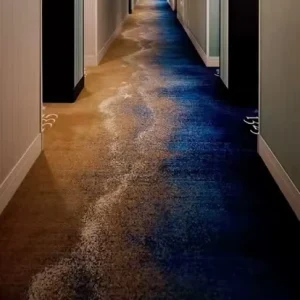 Geometric Pattern Nylon Polypropylene Hotel Carpet Cushioned Pet Friendly Eco Friendly 4m Roll for Hotel Rooms