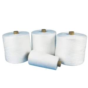 Good Price Xinao Factory Price 100% Raw White Ring Spun Polyester Paper Cone Yarn for Sewing Threads 40 2 20S to 80S
