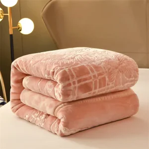 Good Quality 2 Ply Warm Raschel Cloudy Blanket Soft Winter Blanket Cozy Fluffy Mink Blanket for Winter