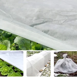 Greenhouse Coverage PP Spunbond Non Woven Fabric 100% Polypropylene Fabric for Agriculture