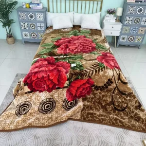 Heavy-Duty Plush Korean Style Soft Warm 2-Layer Printed Suitable Raschel Blanket