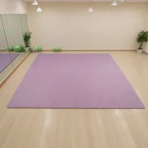 Heavy Duty Taekwondo Puzzle Mat Interlocking Floor Mats 100x100cm 2cm Thickness for Professional Martial Arts Gym