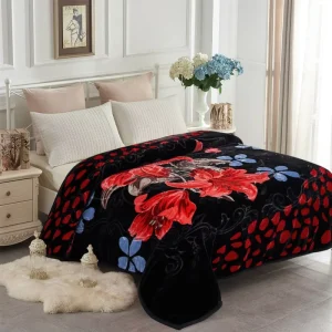 Heavy Plush Raschel Blanket Korean Mink Blanket Silky Soft 2 Ply Printed Fleece Blanket