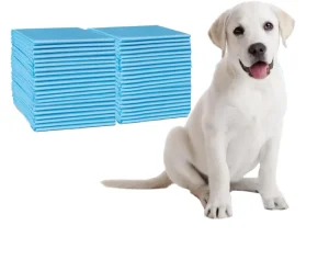 High Absorbent Biodegradable Pee Pad Dog Care Mat Leak Proof Easy Clean Backing Pet Puppy Training Pad Disposable Diaper