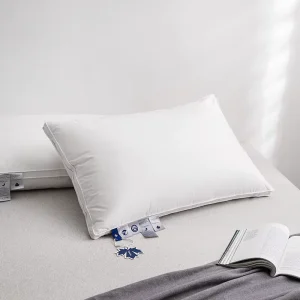 High Quality 100% Cotton Top Fabric Duck Goose Down and Feather Filling Pillow Insert Back Cushion Pillow for Home and Hotel