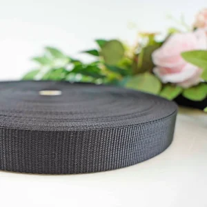 High Quality Abrasion Resistant Plain Weave Nylon Webbing for Garment Accessories