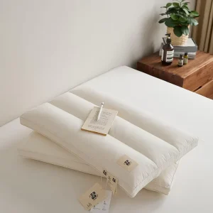 High Quality Custom logo Package Top Fabric Healthy Pillow Filling Insert Back Cushion Pillow for Global Hotel