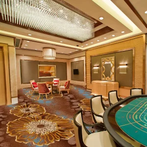 High Quality Fire Resistance Axminster Casino Carpet Floral Wall to Wall Carpet for Hotel Casino Home Use Stain Resistant