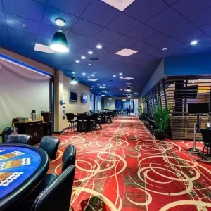 High Quality Las Vegas Casino Luxury Game Room Carpet Floral Pattern Nylon Carpet and Rug Machine Made Casino Carpet