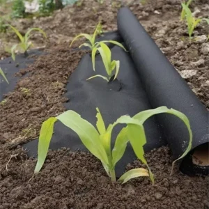 High Quality Non Woven Weed Control Fabric Garden Ground Cover Anti-UV Fabric 2.8oz Nonwoven Polypropylene Landscape Fabric Roll