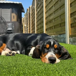 High Quality Pressure Resistance Outdoor Plastic Synthetic Grass Carpet Sports Artificial Grass for Soccer Garden Use High