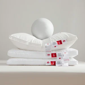 High Quality Sleep Face Goose Feather Down Inserts Pillow Hotel Hospitality Bedding Luxury Face Down Pillow with Stand
